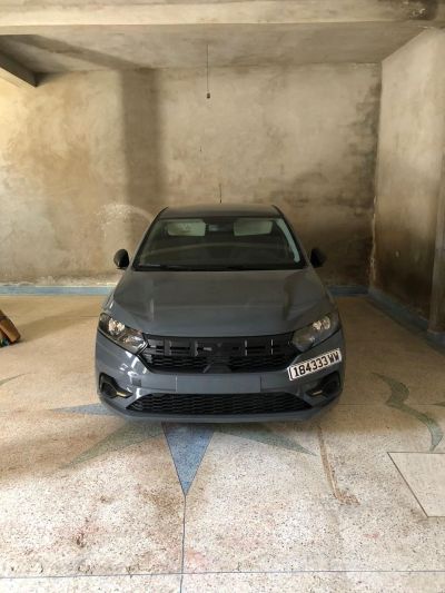 Dacia 1100